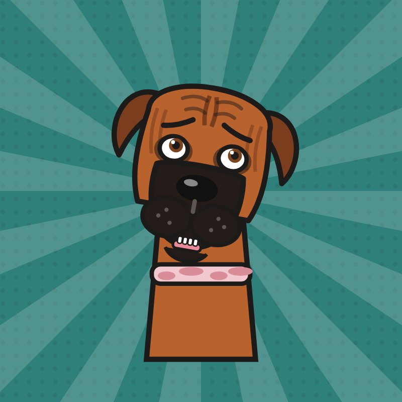 Charlie the boxer